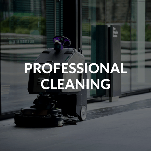 PROFESSIONAL CLEANING